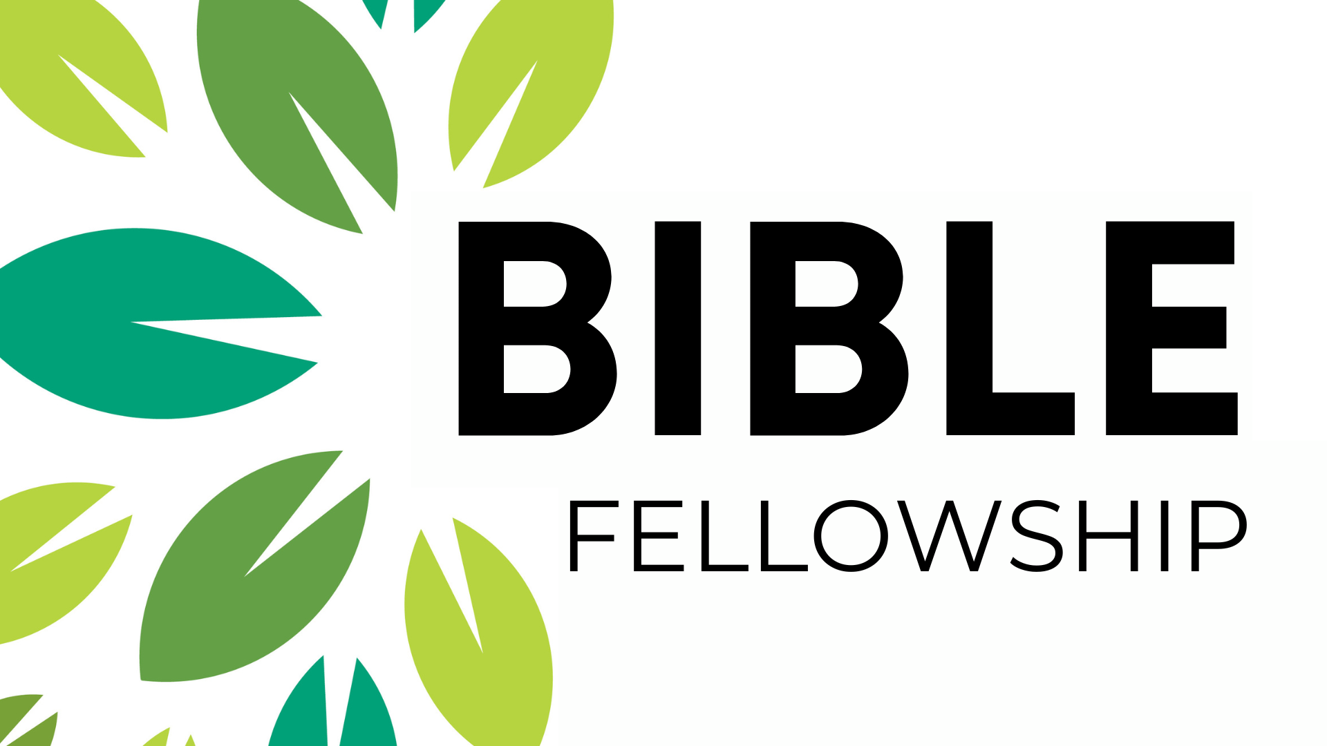 bible-fellowship